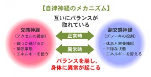 自律神経