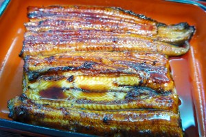 unagi