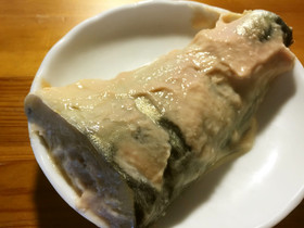 sakanasakekasu