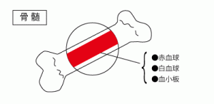 kotsuzui