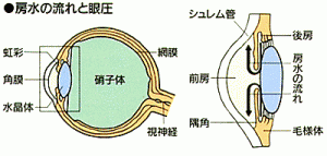 menokouzou