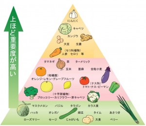 dezainerfoods