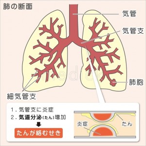 kikanshi