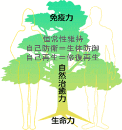 shizenchiyu