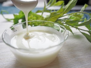 yoguruto