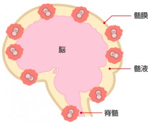 zuimakuen