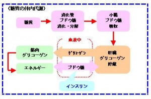 gurikogen