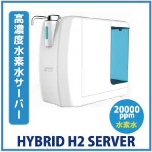 hybridh2server
