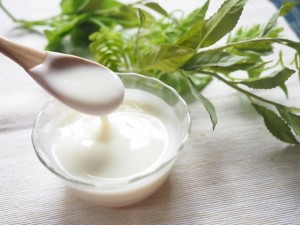 kafunsyou-yogurt