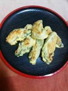 kakidepikata