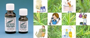teatree
