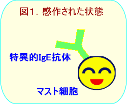 tokuitekiige