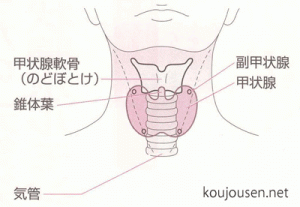 koujousen