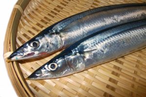 sanma