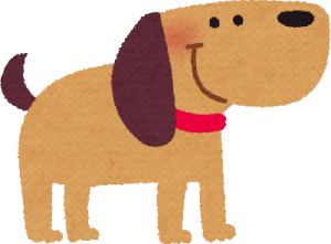hakunaisyou-syujyutu-inu