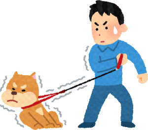 inu-hakunaisyou-syoki