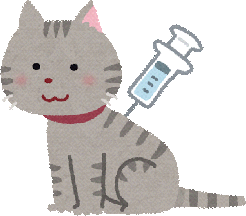 influenza-vaccine-syurui